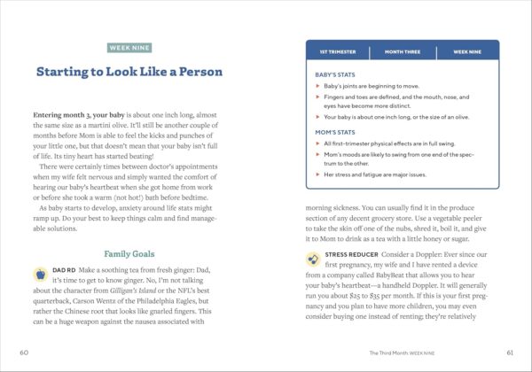 We're Pregnant! The First Time Dad's Pregnancy Handbook