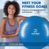 ProBody Pilates Exercise Ball - Multiple Sizes Gym Grade Balance Ball for Fitness, Yoga, Workout, Pregnancy & Physical Therapy