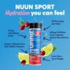 Nuun Sport + Caffeine Electrolyte Tablets - Dissolvable in Water, Mixed Flavor Box, 5 Essential Electrolytes for Hydration, 1g Sugar Drink Mix, Vegan, Non-GMO, 4 Pack (40 Servings)