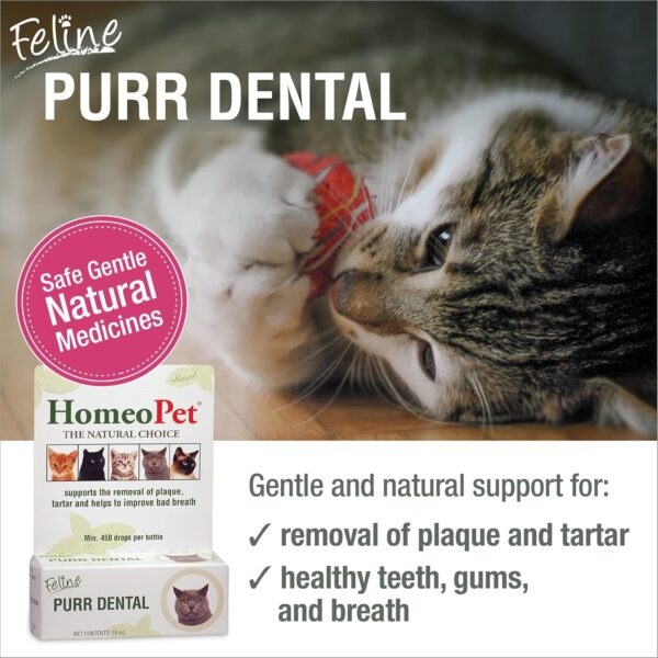HomeoPet Feline Purr Dental, Safe and Natural Tooth and Dental Care for Cats, Cat Dental Care, 15 Milliliters
