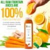 3 Day Juice Cleanse by Raw Fountain, All Natural Raw Juice Detox Cleanse, Juicing for Weight Management, Cold Pressed Juice Fast, Great Way to Jumpstart a Healthy Diet, 18 Bottles 12oz, 3 Ginger Shots
