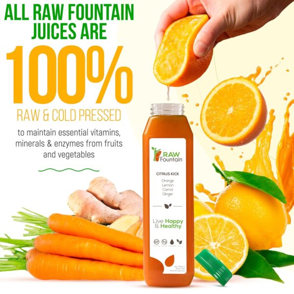 3 Day Juice Cleanse by Raw Fountain, All Natural Raw Juice Detox Cleanse, Juicing for Weight Management, Cold Pressed Juice Fast, Great Way to Jumpstart a Healthy Diet, 18 Bottles 12oz, 3 Ginger Shots