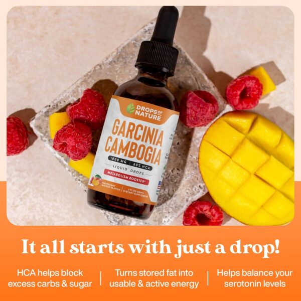 Garcinia Cambogia - Appetite Suppressant for Weight Loss - Stronger Than Pills & Capsules (60% HCA) 4X Ultra Concentrated Liquid Supplement - Carb Blocker - 2 fl. oz. Natural Raspberry Mango