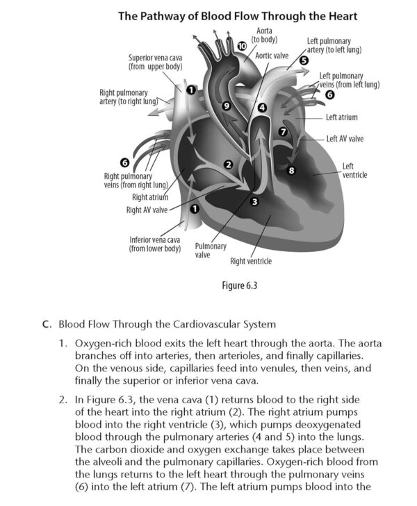 EMT (Emergency Medical Technician) Crash Course with Online Practice Test, 3rd Edition: Get a Passing Score in Less Time (EMT Test Preparation)