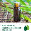 Glade Aromatherapy Diffuser & Essential Oil, Air Freshener for Home, Find Clarity Scent with Notes of Bergamot & Lemongrass, 0.56 Fl Oz