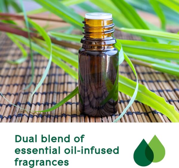 Glade Aromatherapy Diffuser & Essential Oil, Air Freshener for Home, Find Clarity Scent with Notes of Bergamot & Lemongrass, 0.56 Fl Oz