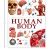 Knowledge Encyclopedia: Human Body (Knowledge Encyclopedia For Children)
