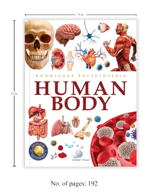 Knowledge Encyclopedia: Human Body (Knowledge Encyclopedia For Children)
