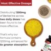 Berberine Supplement 1200mg - 5X Higher Absorption - Ultra Pure 98% Berberine HCL - Healthy Weight Management, Immune Support - Non GMO, Manufactured in USA - 60 Vegan Capsules