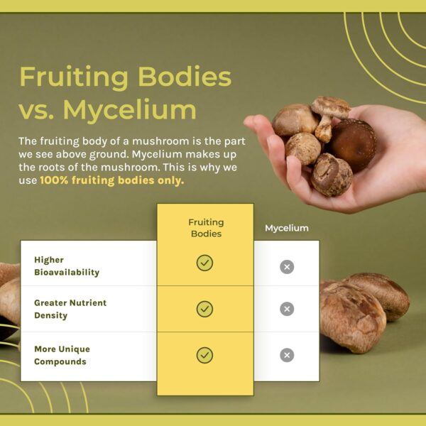 Naturealm Sacred 7 Mushroom Capsules Supplement – Boost Immunity, Focus, Vegan, Non-GMO – Lion’s Mane, Cordyceps, Reishi, Chaga, Maitake, Shiitake – Organic Fruiting Bodies, 30-Day Supply