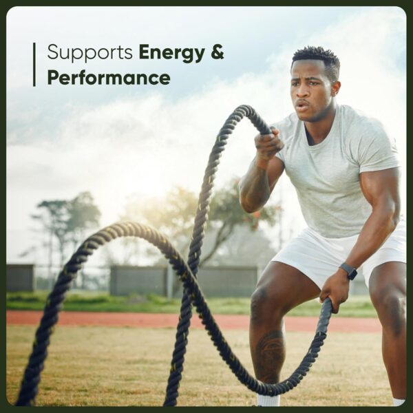 Sandhu's Liver Cleanse Detox & Repair Support | Supplement for Fatty Liver Health and Renew | 70 Veg Capsules | Milk Thistle Dandelion Root with 9 Herbal Minerals for Men & Women