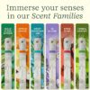 Lifelines Pen Diffuser Set, 2-Pack (Crisp Mountain Air & Citrus Grove) - 1mm Black Ballpoint Pens with Scented Essential Oil Blends – Aromatherapy Diffuser & Sensory Immersion Diffuse Aroma