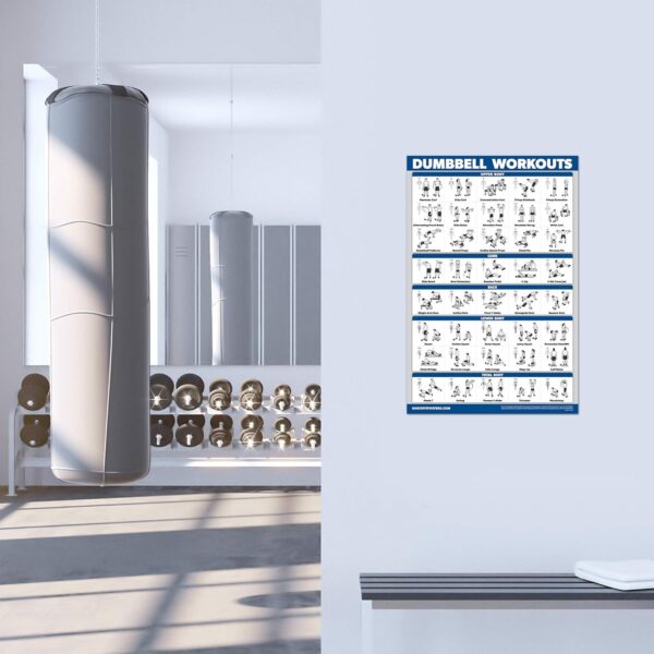 Palace Learning Dumbbell Workout Exercise Poster - Free Weight Body Building Guide | Home Gym Chart - LAMINATED, 18" x 24"