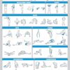 QuickFit 3 Pack - Dumbbell Workouts + Bodyweight Exercises + Stretching Routine Poster Set - Set of 3 Workout Charts (Laminated, 18" x 24")