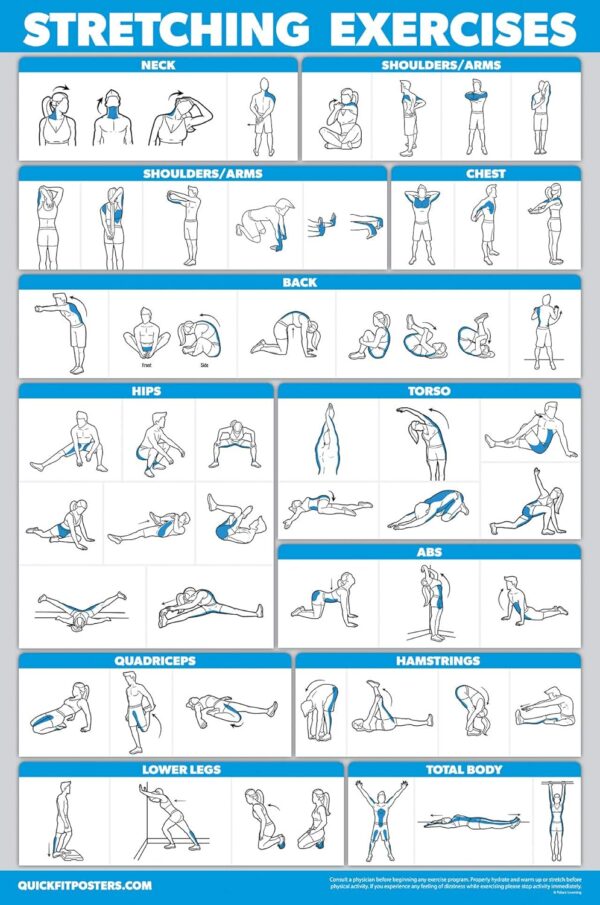 QuickFit 3 Pack - Dumbbell Workouts + Bodyweight Exercises + Stretching Routine Poster Set - Set of 3 Workout Charts (Laminated, 18" x 24")