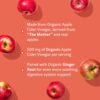 WellPath Pure Organic Apple Cider Vinegar Gummies from The Mother | USDA ACV Gummy with Ginger for Gut Health | Vegan, Non-GMO, 60 Ct