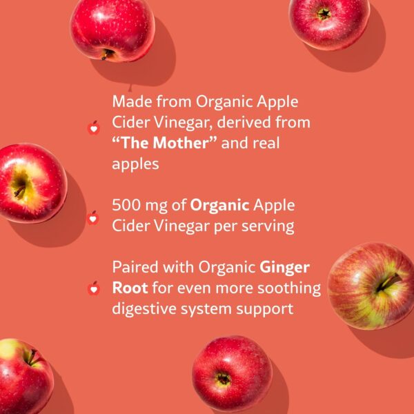 WellPath Pure Organic Apple Cider Vinegar Gummies from The Mother | USDA ACV Gummy with Ginger for Gut Health | Vegan, Non-GMO, 60 Ct