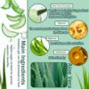 99% Purity Aloe Vera Gel - Hydrating Aloe Vera Gel for Face and Skin,No Sticky Moisturizing Aloe Gel(5 pcs)