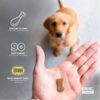 GNC Pets Advanced Weight Support Dog Supplement Soft Chews | Weight Control Dog Supplement for Adult Dogs | 90 Ct Chicken Flavor Weight Management Dog Supplement,FF14874