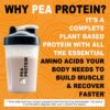 It's Just! Pea Protein Isolate, Plant Based, Premium Quality, Gluten Free, Vegan, Keto Friendly, Product of Canada, Packaged in USA (2.5 Pound, Chocolate)