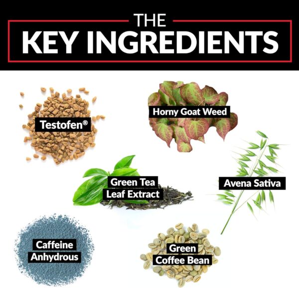 FORCE FACTOR Test X180 Ignite, Testosterone Booster & Fat Burner for Men, Testosterone Supplement to Burn Fat, Build Muscle, Increase Energy, and Boost Vitality and Performance, 60 Count (Pack of 2)