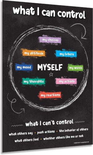 ZOCO Things I Can Control Poster — Mental Health Awareness Item — School Counselor Office Must Haves — Growth Mindset, Positive Posters for Teens — LAMINATED, 12x18 inches