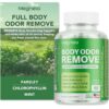 Body Deodorizing Supplement, Natural Internal Odor Control Pills for Men & Women, Chlorophyll Capsules for Skin, Breath, and Gut Health (60 Capsules)