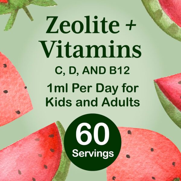 Zeolite Detox for Kids | Heavy Metal Detox | Methyl Vitamin B12, C and D3 for added Energy, Immune, and Focus | 2 oz liquid drops (60 Servings) | Parasite Cleanse | No Preservatives, Vegan, Non-GMO