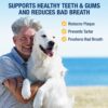ProDen PlaqueOff Powder for Dogs & Cats - Pet Dental Care Supplement for Teeth Cleaning & Oral Health - Dog Breath Freshener & Plaque Remover - 180 g