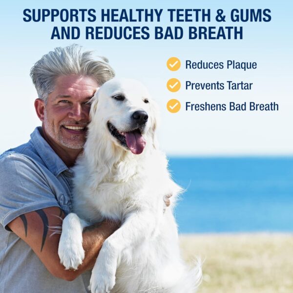 ProDen PlaqueOff Powder for Dogs & Cats - Pet Dental Care Supplement for Teeth Cleaning & Oral Health - Dog Breath Freshener & Plaque Remover - 180 g
