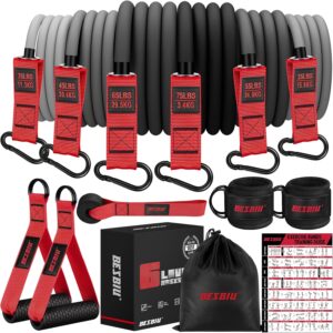 Heavy Exercise Bands Resistance Bands for Working Out, 300lbs/360lbs Fitness Workout Bands with Handles, Door Anchor, Leg Ankle Straps, Home Gym Workout Equipment for Men Strength Training Stretching