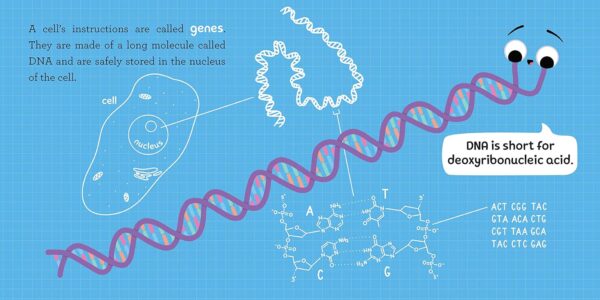 Baby Biochemist: DNA: Discover the Amazing Science Behind Your Body's Molecular Instructions! (Human Body Books, Science Gifts, Medical Books for Kids) (Baby University)