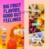 wildwonder Sparkling Probiotic Juice Drink w/Gut Health Immunity, 5g Fiber, Live Probiotics, Caffeine Free, Organic, Vegan, Low Sugar, 12pk 12oz, Tropical Vibes Variety Pack, As Seen on Shark Tank