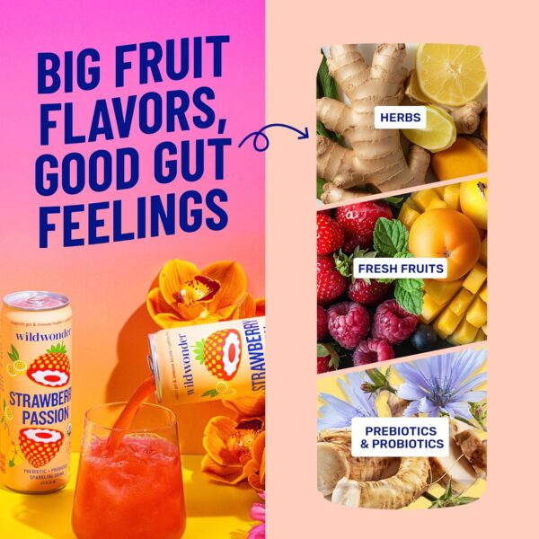 wildwonder Sparkling Probiotic Juice Drink w/Gut Health Immunity, 5g Fiber, Live Probiotics, Caffeine Free, Organic, Vegan, Low Sugar, 12pk 12oz, Tropical Vibes Variety Pack, As Seen on Shark Tank
