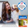Nutramax Cosequin Joint Health Supplement for Dogs - With Glucosamine, Chondroitin, MSM, and Omega-3's, 60 Soft Chews