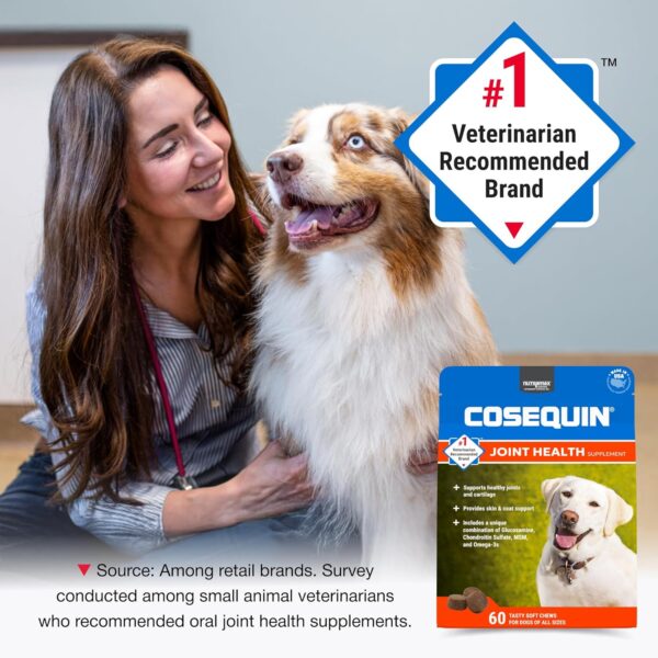 Nutramax Cosequin Joint Health Supplement for Dogs - With Glucosamine, Chondroitin, MSM, and Omega-3's, 60 Soft Chews