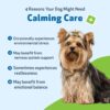 Pet Wellbeing Calming Care for Dogs - Calm Support, Relaxed Nervous System, Emotional Balance, Adaptogens, Ashwagandha, Holy Basil - Veterinarian-Formulated Herbal Supplement 2 fl oz (59 ml)