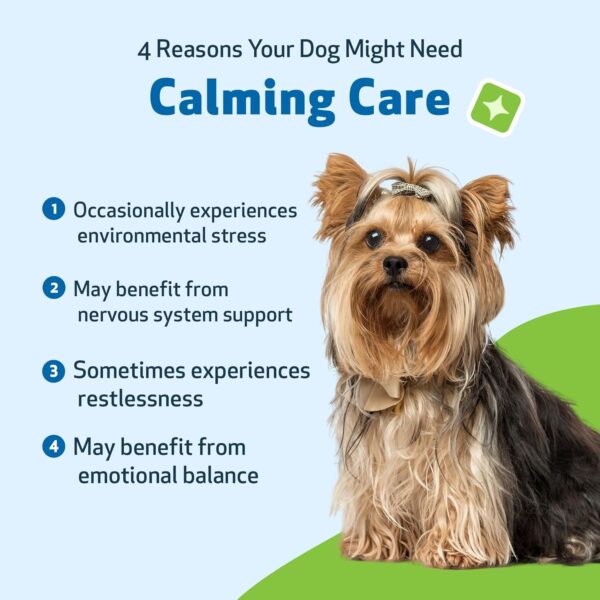 Pet Wellbeing Calming Care for Dogs - Calm Support, Relaxed Nervous System, Emotional Balance, Adaptogens, Ashwagandha, Holy Basil - Veterinarian-Formulated Herbal Supplement 2 fl oz (59 ml)