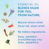 MOXĒ Nasal Inhaler Bundle, 8 Essential Oil Blends, Aromatherapy Sticks, Warming & Cooling Fragrances, Undiluted Oil, Natural Ingredients, Made in USA