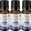 OraWellness Healthy Mouth Blend Organic Toothpaste & Mouthwash Alternative Tooth Oil, Natural Mouth Rinse for Healthy Teeth & Gums for Women, Men and Kids, Pack of 3