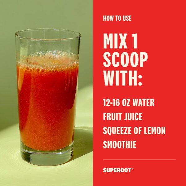 SUPEROOT® 100% Natural Detox & Immunity Electrolytes (Fizzy) | Ginger & Citrus Flavor | Vitamin C, Deep Ocean Minerals, & Antioxidants | Energy, Hydration | 0 Added Sugar | Caffeine Free | 30 Servings