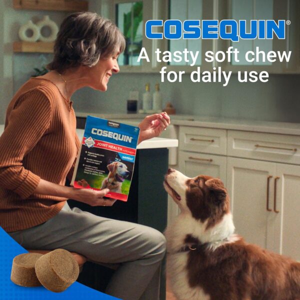 Cosequin Senior Joint Health Supplement for Senior Dogs - With Glucosamine, Chondroitin, Omega-3 for Skin and Coat Health and Beta Glucans for Immune Support, 60 Soft Chews