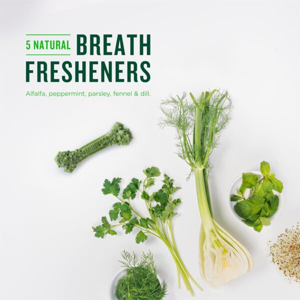 Minties Dental Chews for Dogs, 60 Count, Vet-Recommended Mint-Flavored Dental Treats for Medium Dogs 25-50 lbs, Dental Bones Clean Teeth, Fight Bad Breath, and Removes Plaque and Tartar