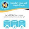 Solid Gold Weight Management Dog Food - Fit & Fabulous Wet Grain Free Dog Food Made with Real Chicken, Sweet Potato and Green Bean - for Weight Control and Dogs with Sensitive Stomachs