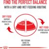 Royal Canin Small Dog Dental Care Dry Dog Food, 17 lb bag