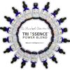 Respiratory Health Tri-Essence Power Blend - Blended with Natural Herbal Extracts, Flower Essences, and Essential Oils - Size: 240 mL (8 fl. oz.)