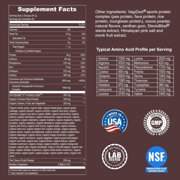 Vegan Sport Protein Powder Chocolate 20 servings – 30g Plant Based Protein, VELOSITOL, BCAAs, Organic Greens & Fruits, Probiotics, Tart Cherry for Post Workout Recovery, Inform Sports Certified Keto