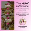 HUM Best of Berberine Supplement 1200mg - Pure Potency for Metabolic Wellness, Enhanced with BioPerine for Maximum Absorption (60 Capsules)