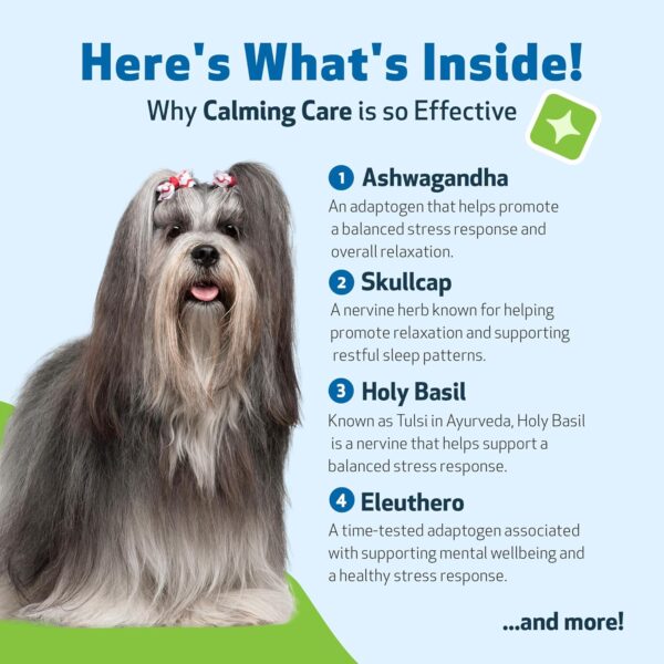 Pet Wellbeing Calming Care for Dogs - Calm Support, Relaxed Nervous System, Emotional Balance, Adaptogens, Ashwagandha, Holy Basil - Veterinarian-Formulated Herbal Supplement 2 fl oz (59 ml)