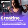 Gnarly Nutrition Creatine Powder - Creapure, Vegan Supplement, NSF Sport Certified, Optimized Recovery, Sports Nutrition, 5g Creatine Monohydrate, Unflavored (15.87oz)